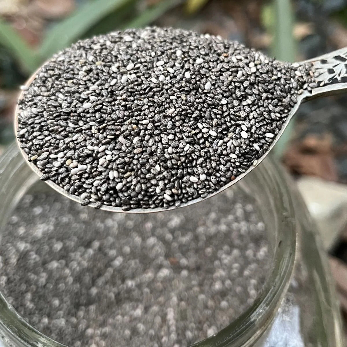 CHIA SEEDS