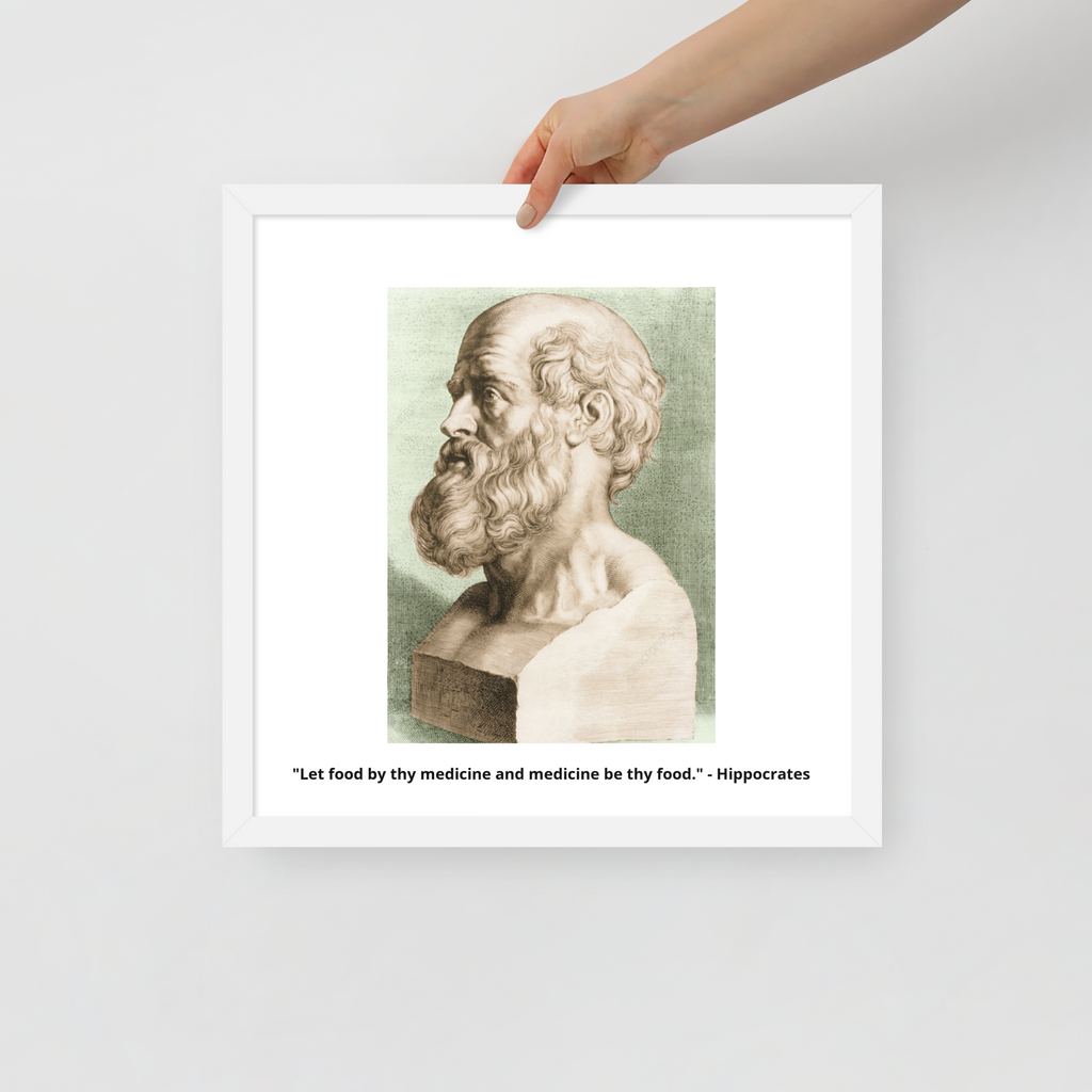 HIPPOCRATES FATHER OF MEDICINE ART