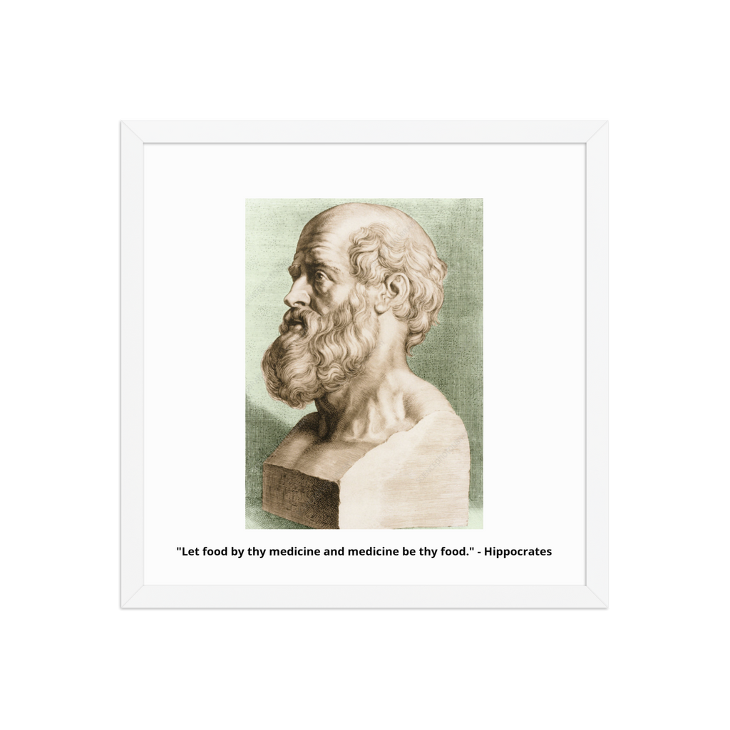 HIPPOCRATES FATHER OF MEDICINE ART