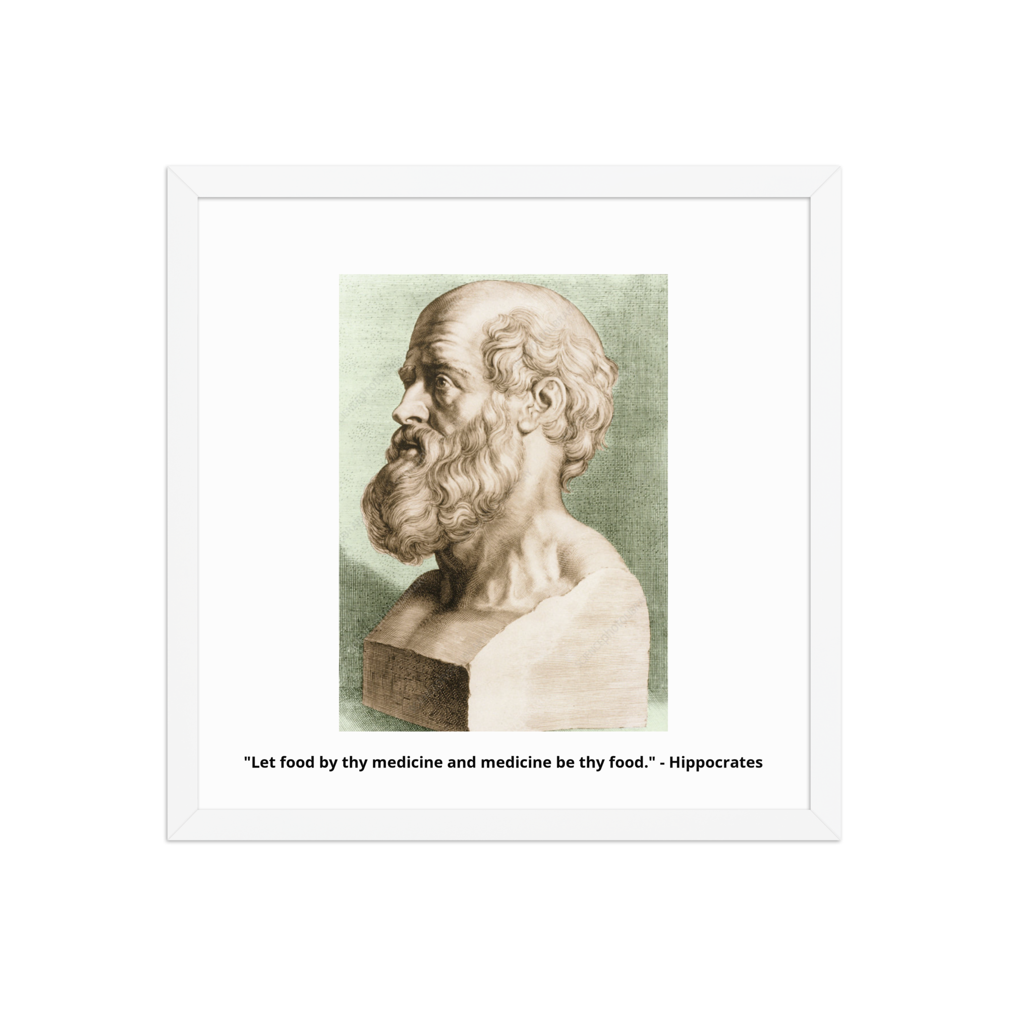 HIPPOCRATES FATHER OF MEDICINE ART